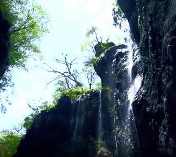 青山綠水，白龍江畔江畔息白鷺，兩岸綠橄欖入眼的都是純樸自然枝上花開(kāi)，春來(lái)水暖魚(yú)蝦戲水，鳥(niǎo)語(yǔ)花香心中充滿(mǎn)著舒暢之感祥宇生態(tài)產(chǎn)業(yè)園，位于隴南市武..